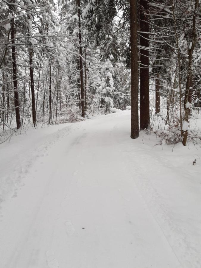 Ferienwohnung Am Wald ヴァイトリンク エクステリア 写真