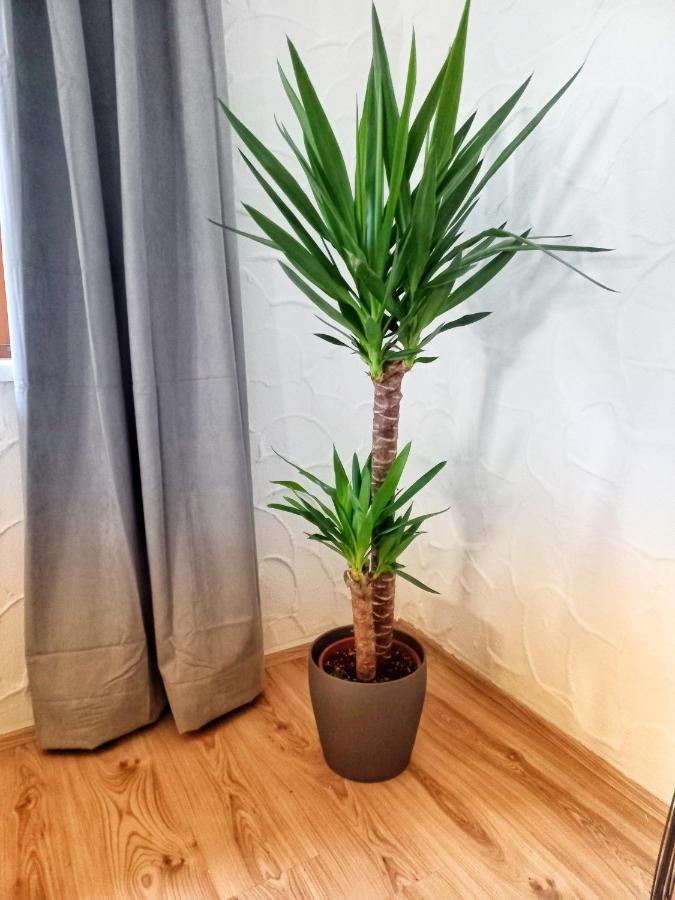 Ferienwohnung Am Wald ヴァイトリンク エクステリア 写真
