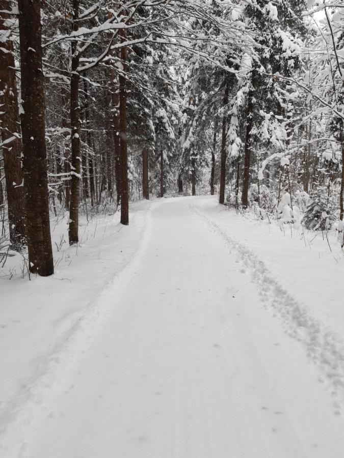 Ferienwohnung Am Wald ヴァイトリンク エクステリア 写真