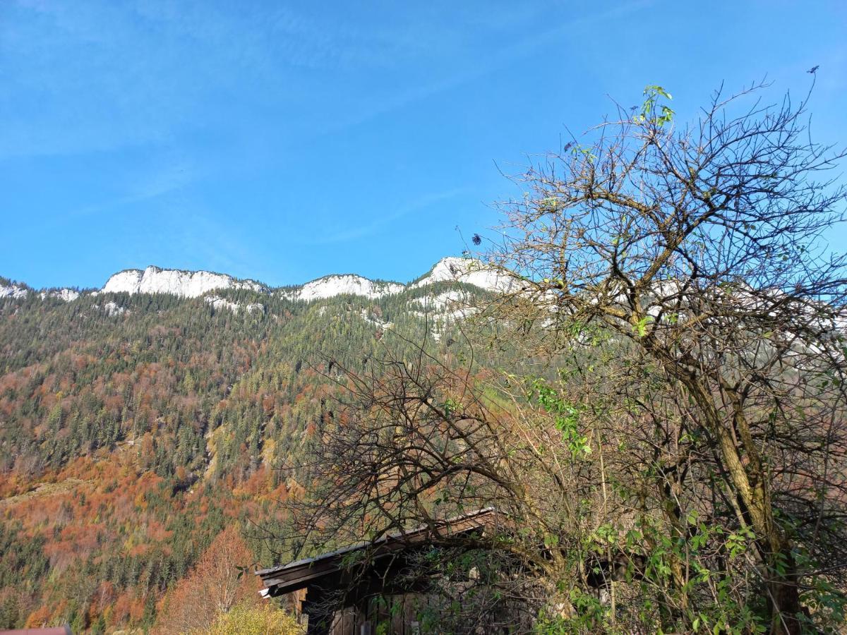 Ferienwohnung Am Wald ヴァイトリンク エクステリア 写真