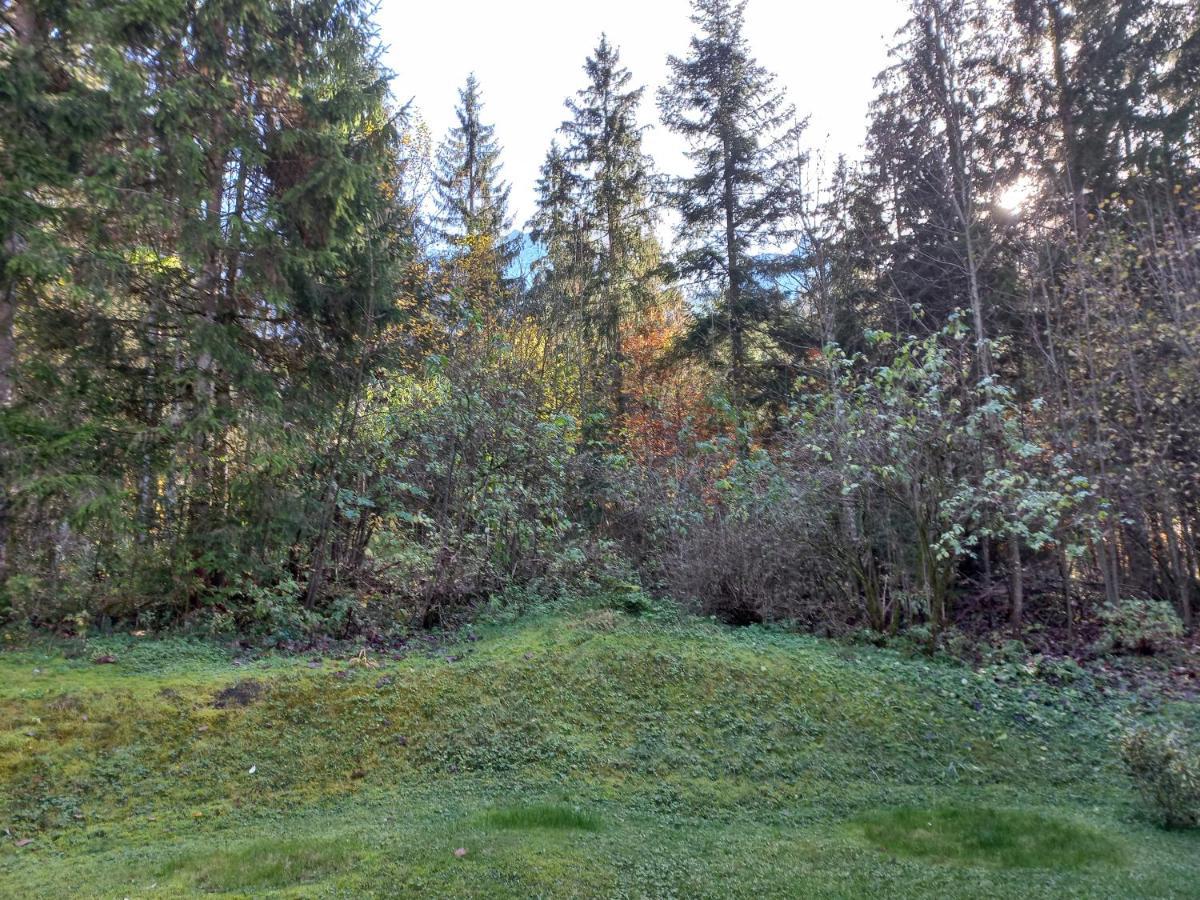 Ferienwohnung Am Wald ヴァイトリンク エクステリア 写真