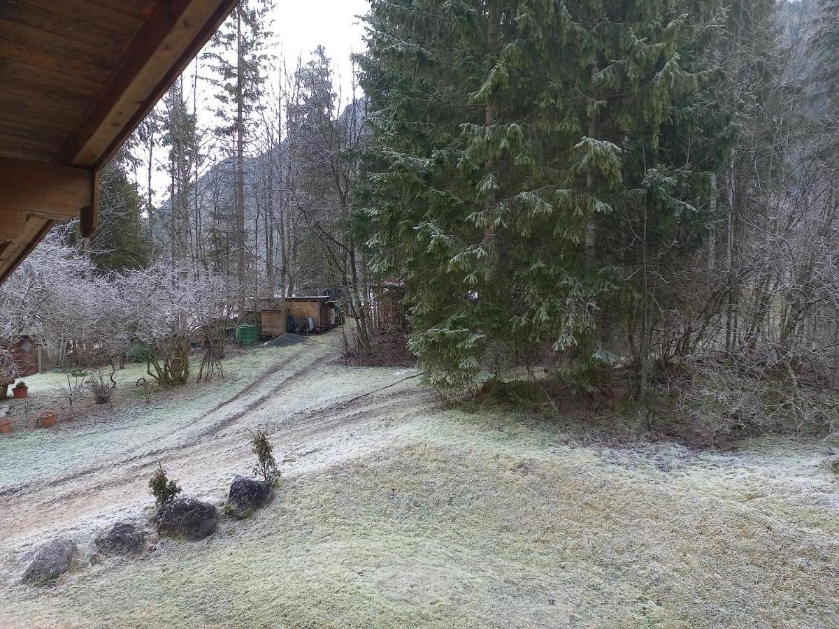 Ferienwohnung Am Wald ヴァイトリンク エクステリア 写真