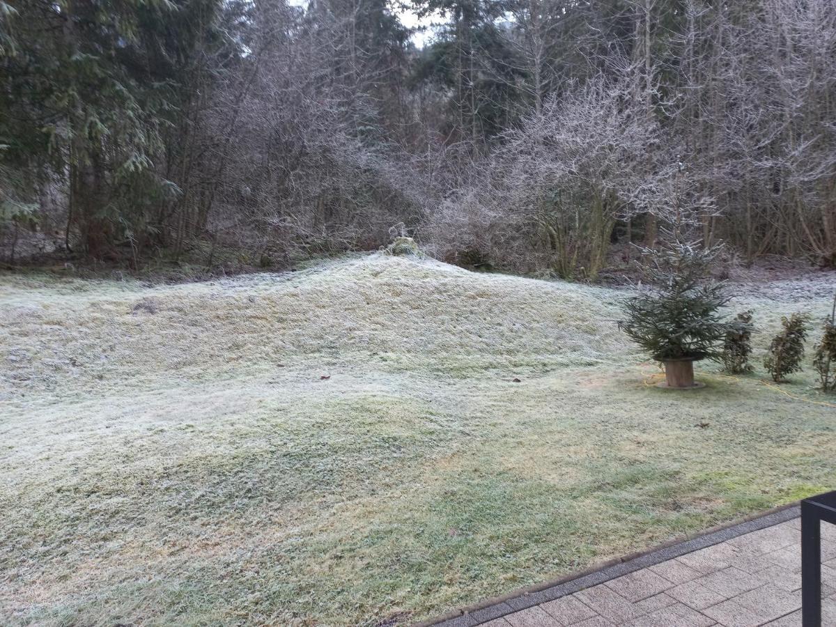 Ferienwohnung Am Wald ヴァイトリンク エクステリア 写真
