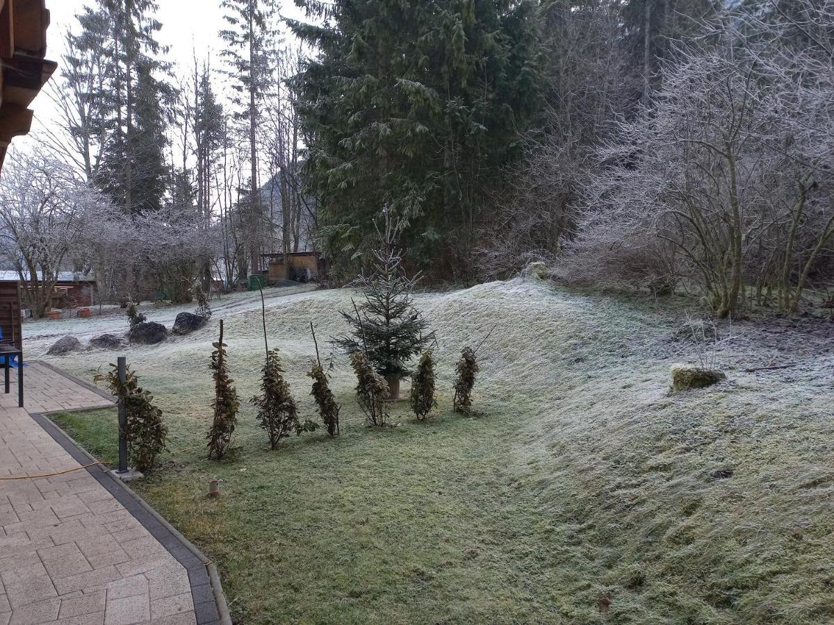 Ferienwohnung Am Wald ヴァイトリンク エクステリア 写真
